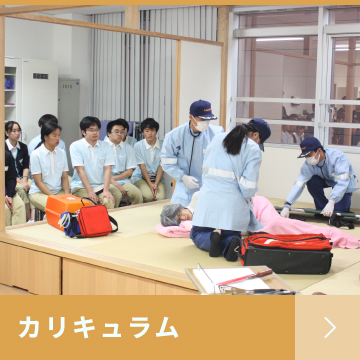 カリキュラム