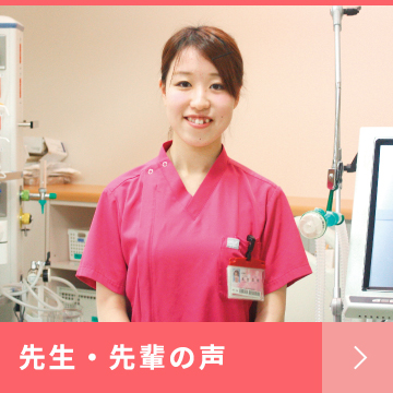 先生・先輩の声